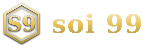 soi 99 logo